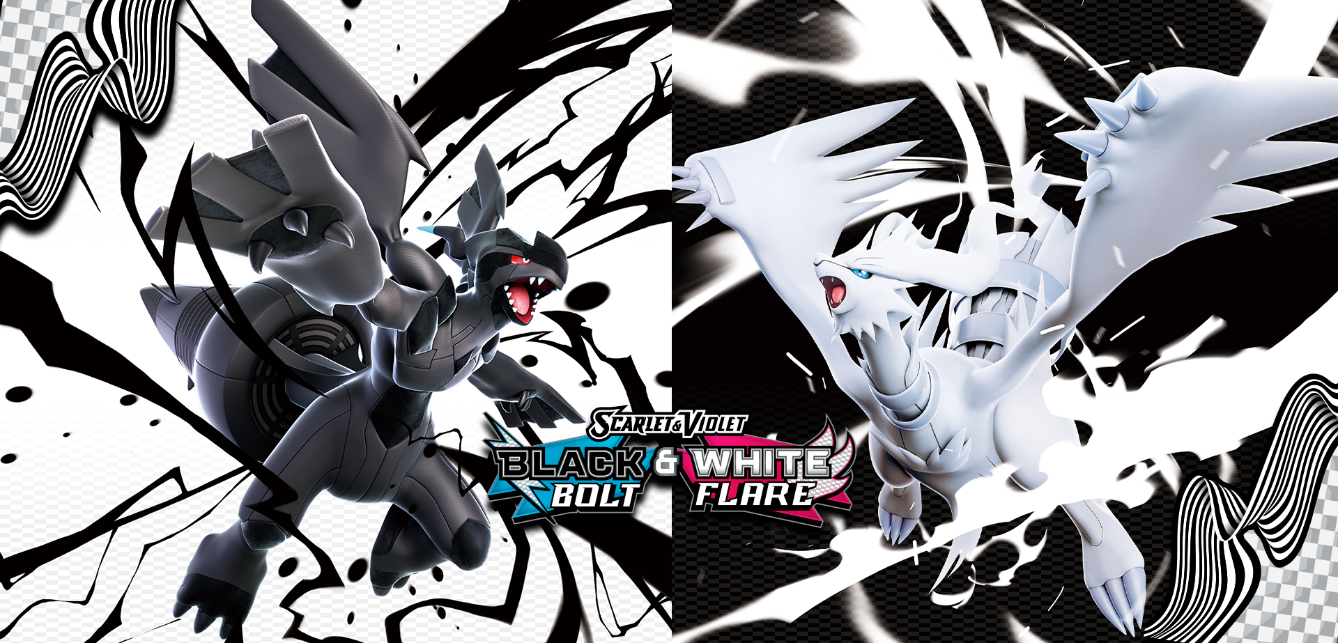 Pokemon_Black_Whiter_Trading Card Game_20250725
